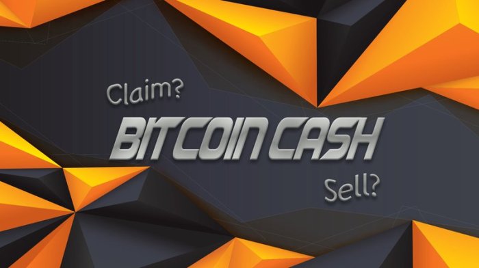 Руководство для новичка: получение (и продажа) токенов «Bitcoin Cash»